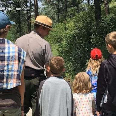 VIDEO: Federal job cuts lead to concerns at US national parks