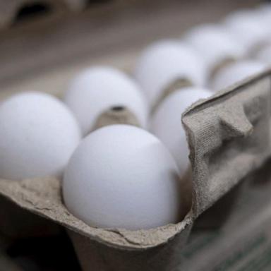 VIDEO: USDA: Egg prices could increase 41% this year