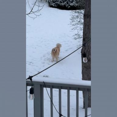 Willie was very excited to go outside to see him!