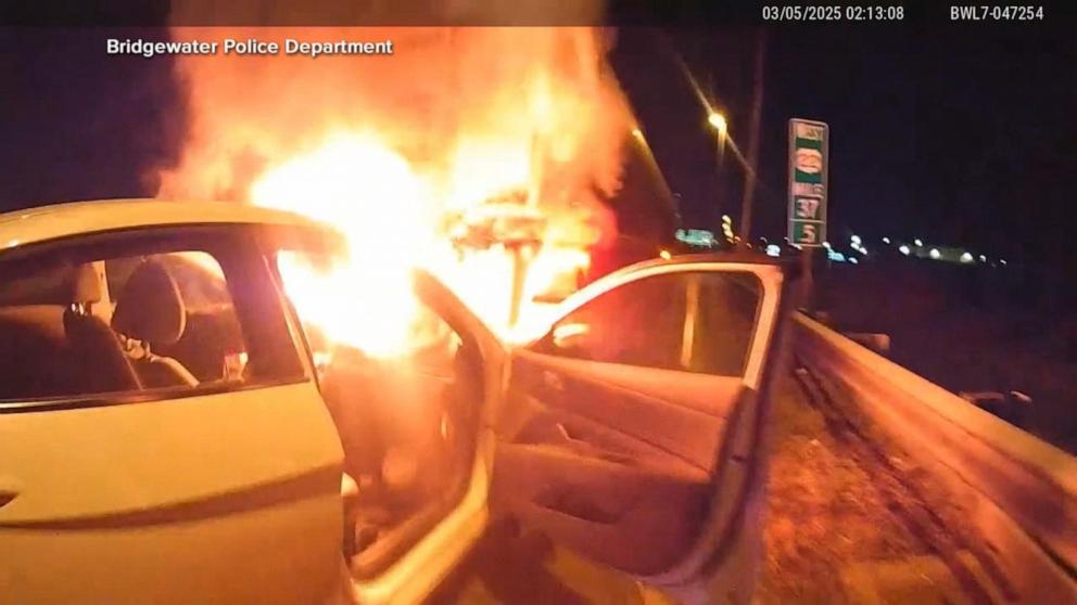 VIDEO: Police officer rescues driver from burning car