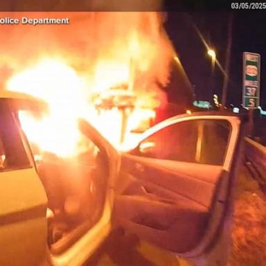 VIDEO: Police officer rescues driver from burning car