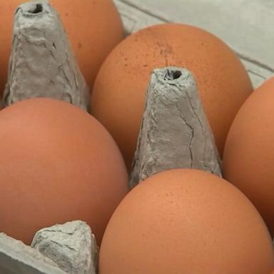 VIDEO: DOJ investigating possible egg price fixing: Sources