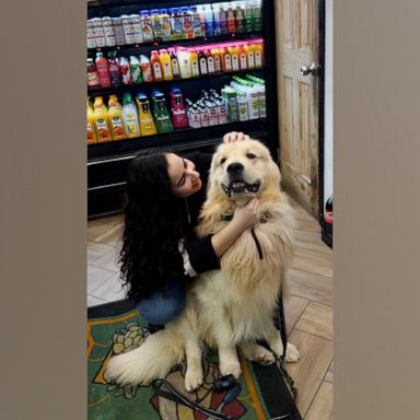 Duke's owner, Zarah Kelleher, told "Good Morning America" the bodega gave Duke a sense of home when they moved to the area.