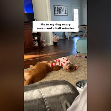 Lennon and Tilly, a 2-year-old golden retriever, love lounging together every morning. But on this morning, they decided they needed a little nap, and we are officially jealous.