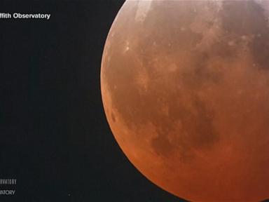 WATCH:  Millions get a glimpse at ‘blood moon’ lunar eclipse