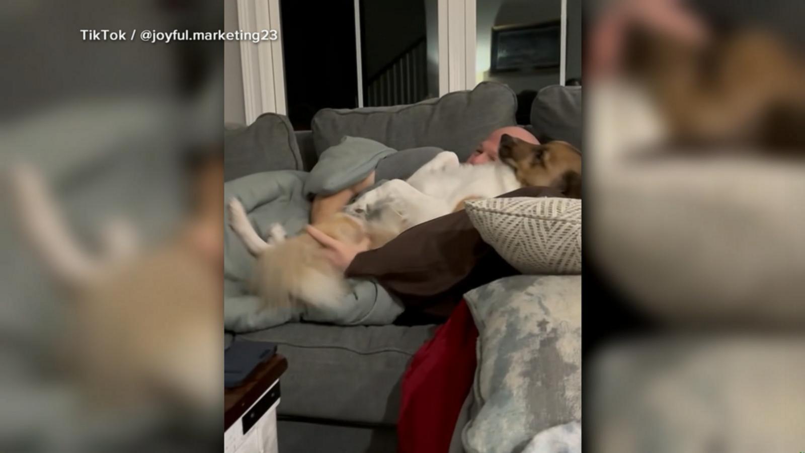 WATCH:  Dog goes viral for cuddling