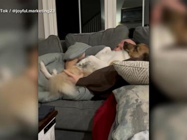 WATCH:  Dog goes viral for cuddling