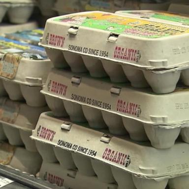 VIDEO: Wholesale egg prices drop for 3rd straight week