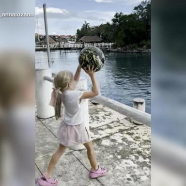 VIDEO: Little girl plays catch with a dolphin