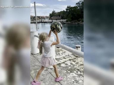 WATCH:  Little girl plays catch with a dolphin