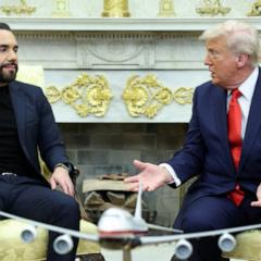 US and El Salvador double down on mistakenly deported man despite court order