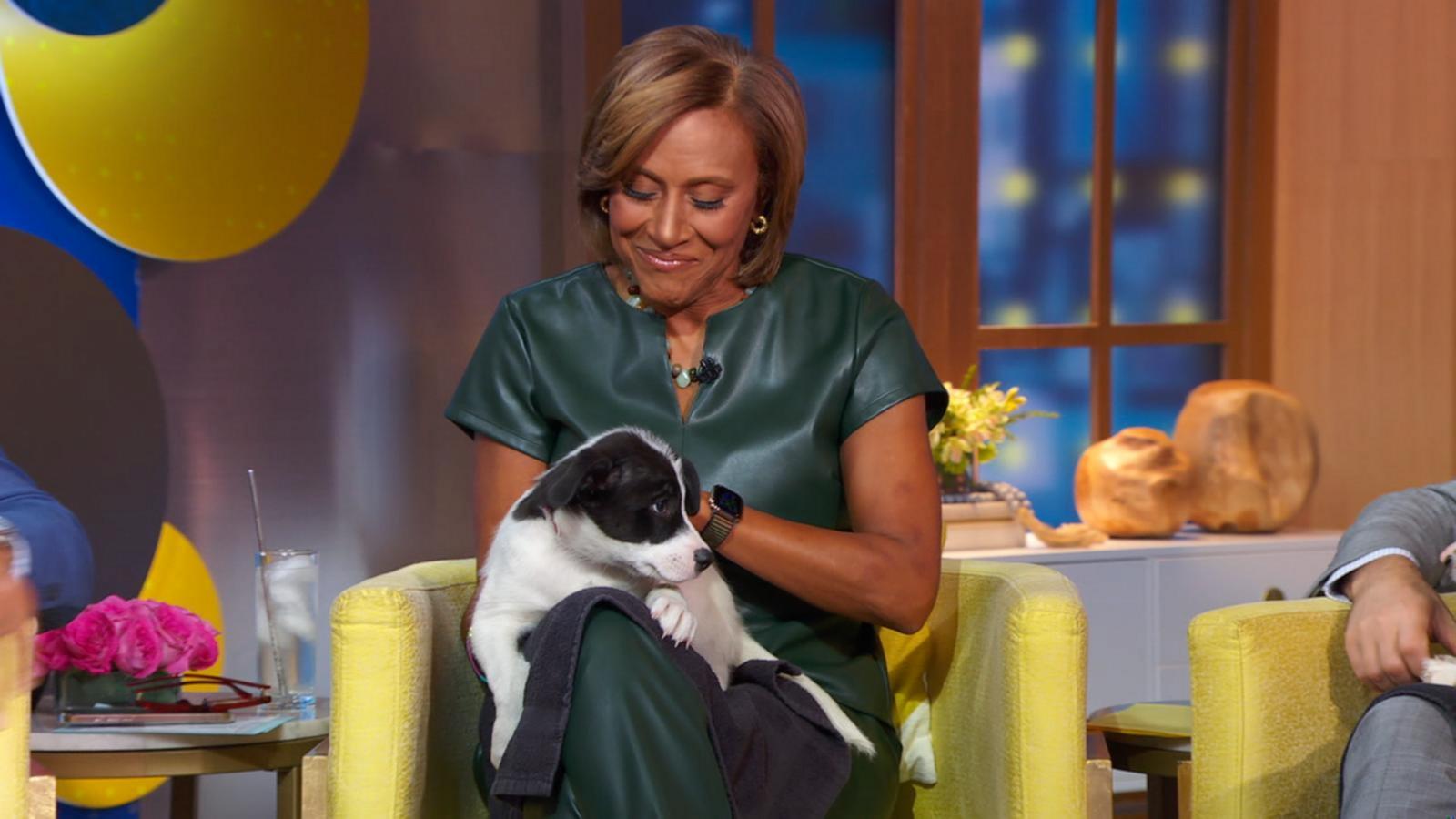 VIDEO: North Shore Animal League launches ‘Global Pet Adoptathon’