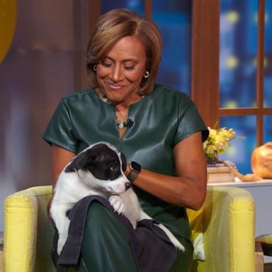 VIDEO: North Shore Animal League launches ‘Global Pet Adoptathon’