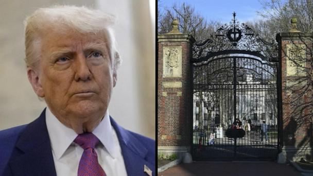 Harvard sues Trump administration after foreign student enrollment ban