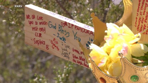 2 teens found fatally shot in remote Arizona forest