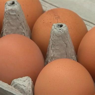VIDEO: CDC warns of salmonella outbreak possibly linked to eggs