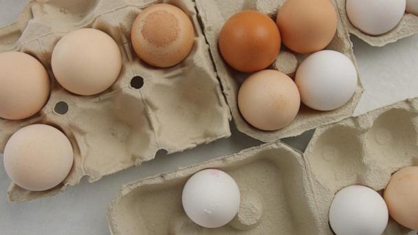Major egg recall as salmonella outbreak sickens dozens 
