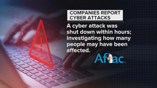 Cyber attacks on the rise