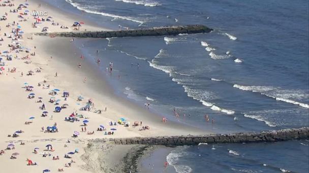 Suspected shark encounter at popular New York beach