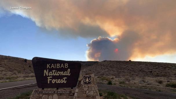 White Sage Fire prompts urgent evacuations at Grand Canyon