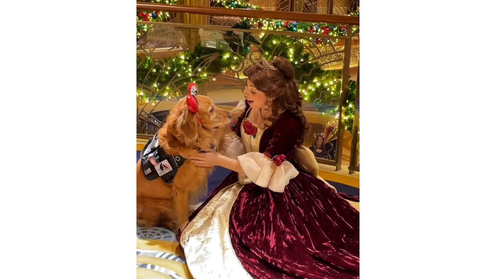 VIDEO: Belle the service dog meets Disney Princess Belle in a 'tail' as old as time