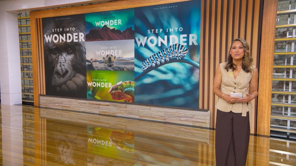 VIDEO: Nat Geo launches 'Step Into Wonder' campaign