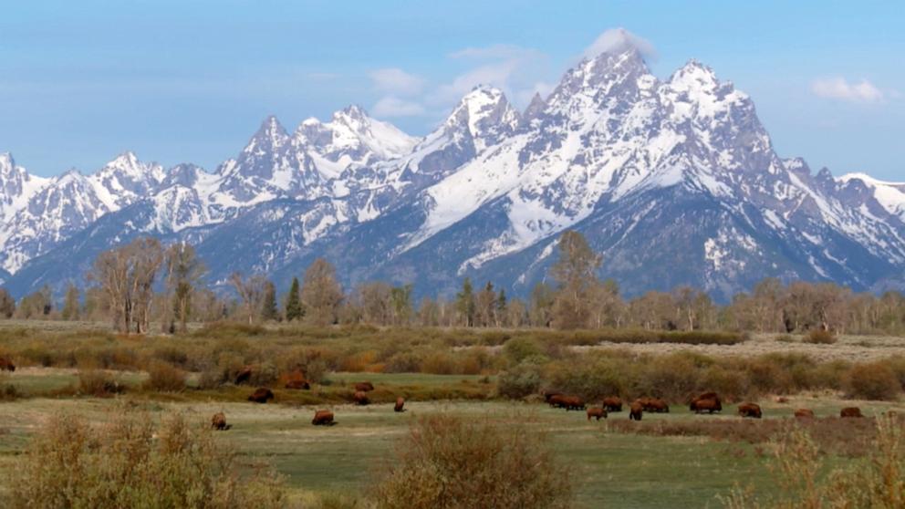 VIDEO: Wyoming in 90 seconds