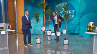 VIDEO: ABC Secret Savings for outdoor fun