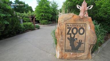 VIDEO: Nashville Zoo fights proposed data center next door