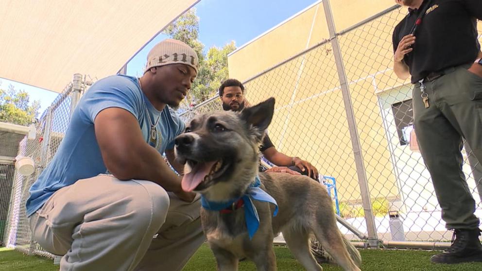 VIDEO: Inside the LA Chargers Pup program
