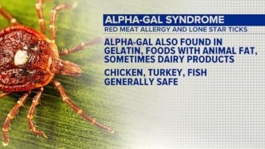 VIDEO: Ticks causing red-meat allergies are spreading across the US