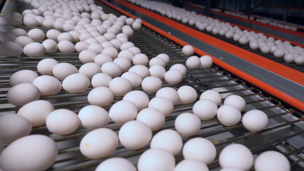 VIDEO: Settlement reached on egg prices