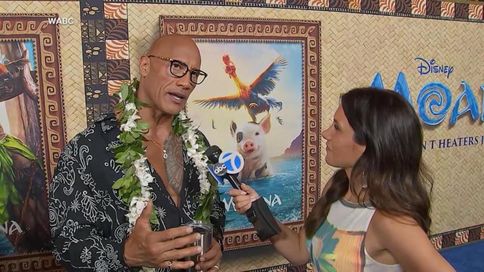 VIDEO: Dwayne 'The Rock' Johnson on his next dream role