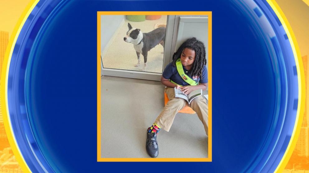 VIDEO: Reading program that helps sooth sheltered pets