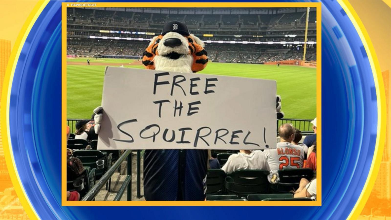 WATCH:  Squirrel runs onto field during MLB game
