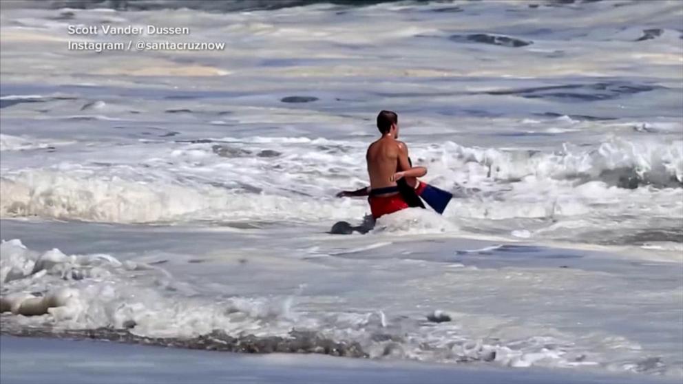 Hero teen lifeguard speaks out about viral rescue of 10-year-old boy ...
