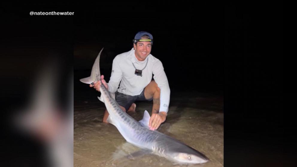 VIDEO: Tiger sharks spotted off New England coast