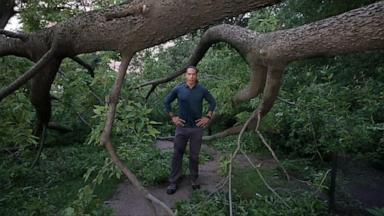 VIDEO: Deadly storms sweep across Midwest