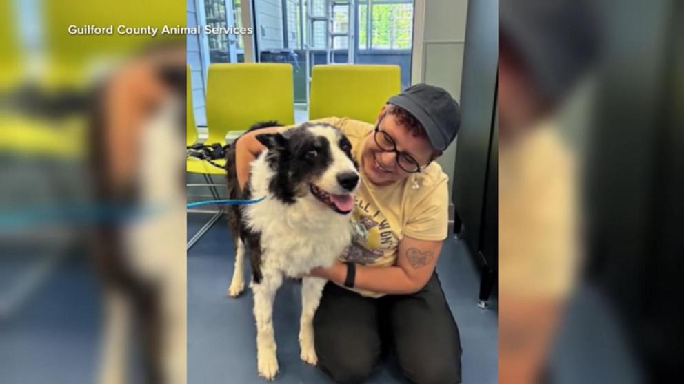 VIDEO: Lost dog reunited with family after 1,000-mile journey