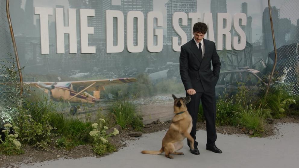 VIDEO: ‘Dog Stars’ actors step out at London premiere