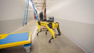 VIDEO: ICE plans to purchase robot dogs