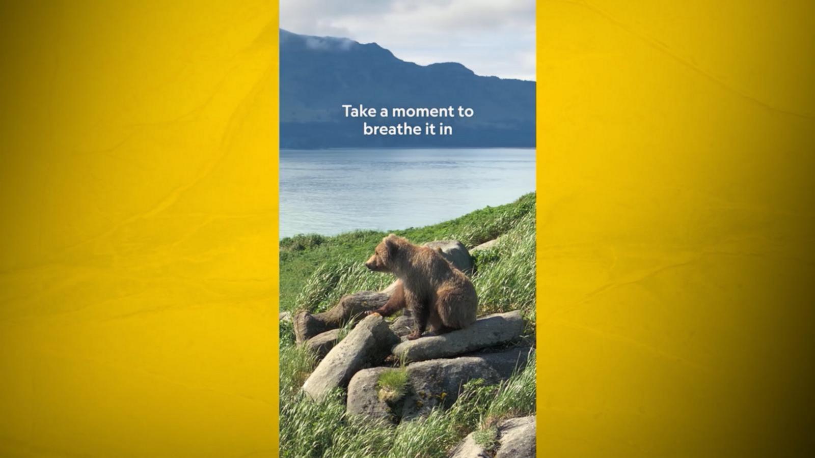 WATCH:  Nat Geo's 'Moment on the Earth' captures bears in Alaska’s Katmai National Park