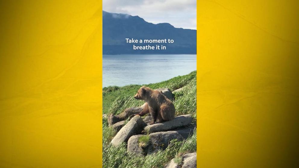 WATCH: Nat Geo's 'Moment on the Earth' captures bears in Alaska’s Katmai National Park