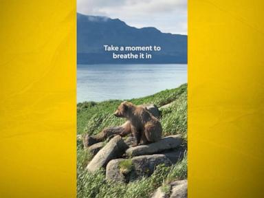 WATCH: Nat Geo's 'Moment on the Earth' captures bears in Alaska’s Katmai National Park