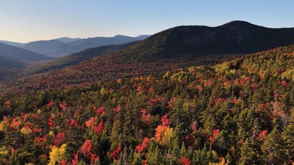 Fall foliage fever grows in Northeast