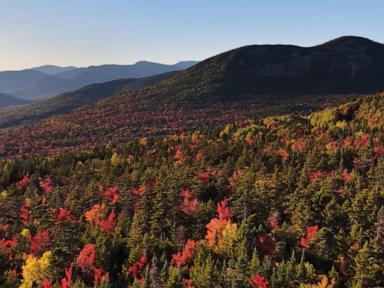 WATCH:  Fall foliage fever grows in Northeast