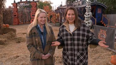 VIDEO: Inside Chicago's Halloween pumpkin pop-up