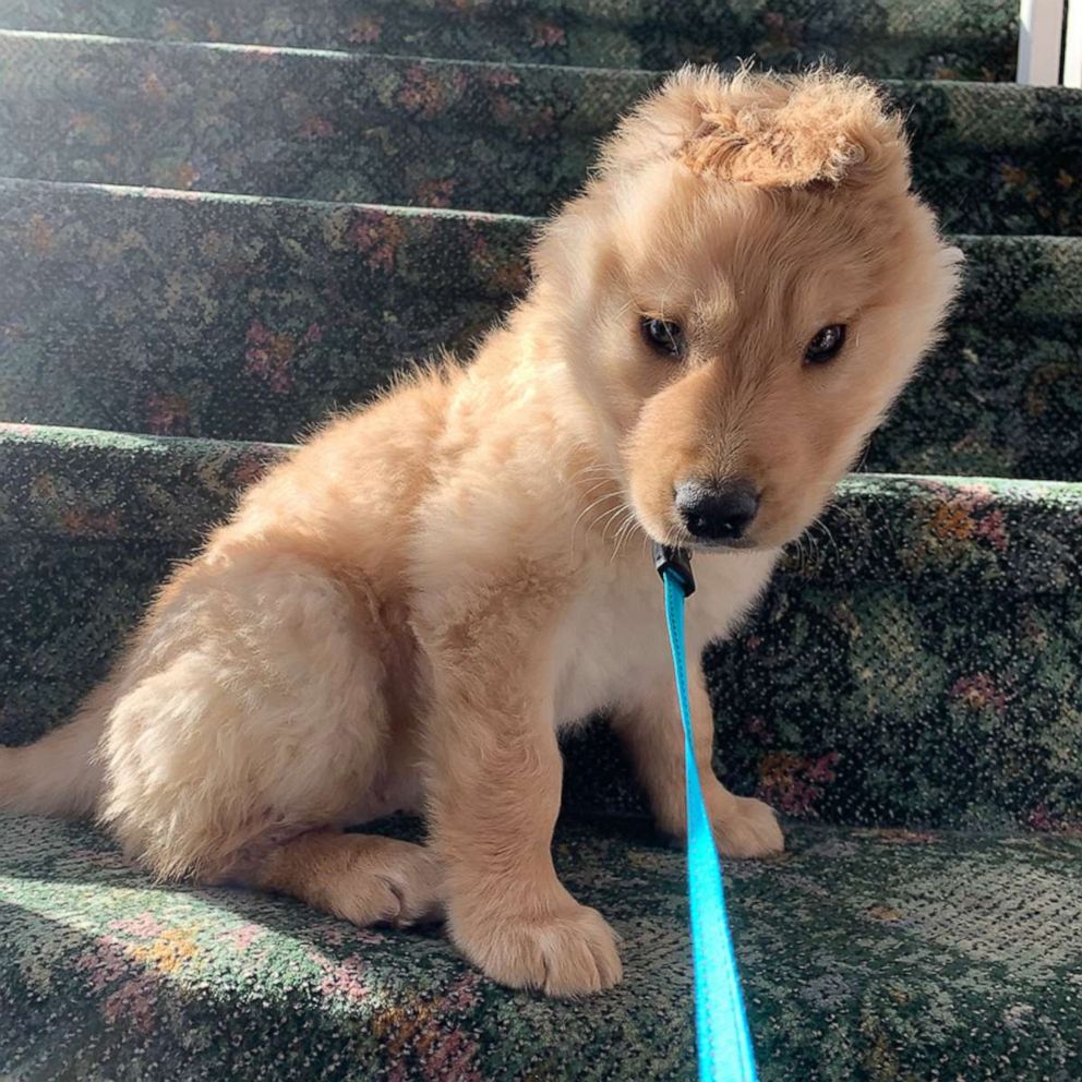 PHOTO: Rae sitting on the stairs.