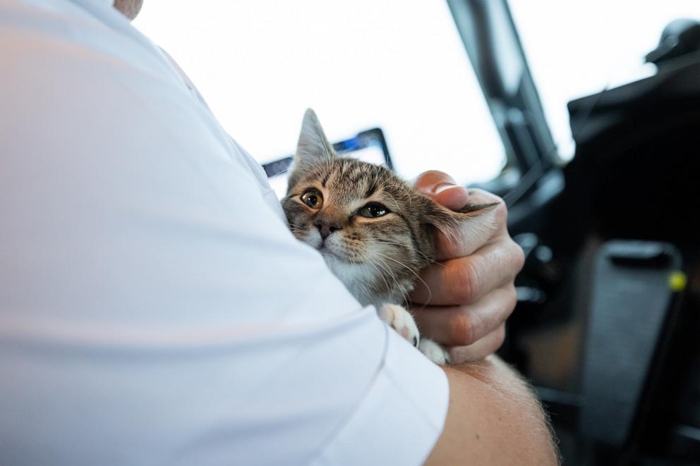 PHOTO: Captain Matt Prebish adopted a kitten named Avery from Lucky Dog Animal Rescue.