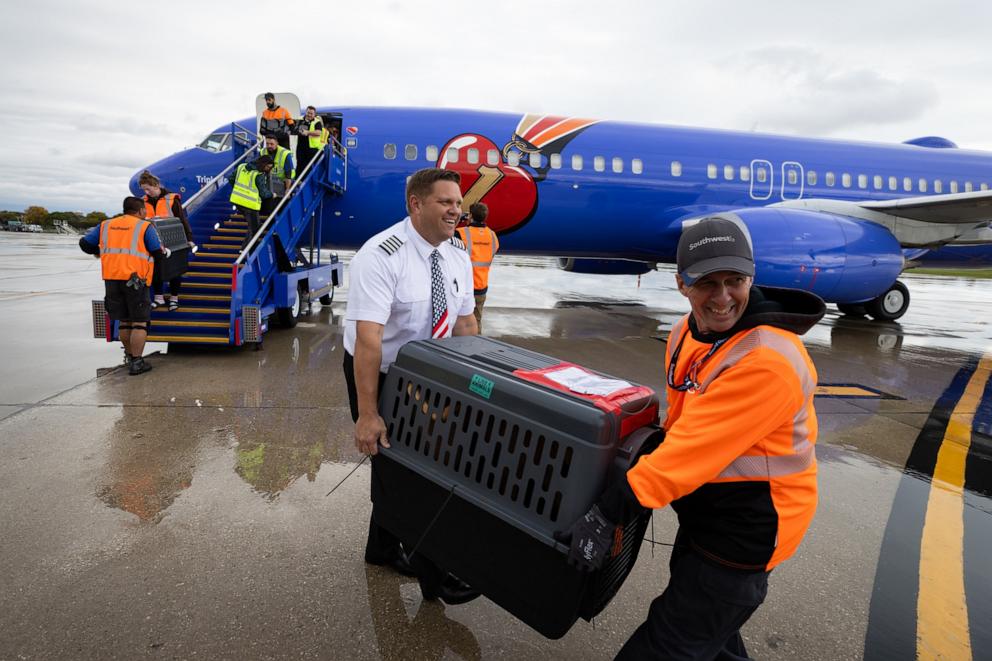 PHOTO: Southwest Airlines teamed up with Greater Good Charities and Lucky Dog Animal Rescue to fly shelter animals out of areas impacted by Hurricanes Milton and Helene.